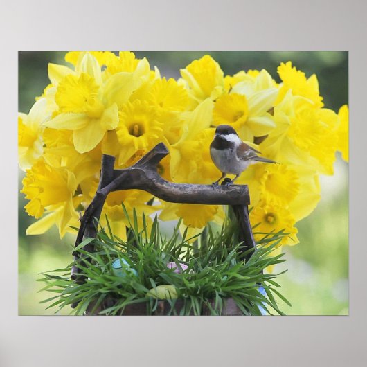 Poster du poulet du printemps (Devant)