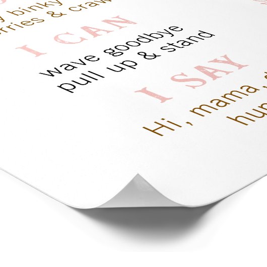 Poster du premier rodéo de la fille rose - Wester (Coin)