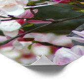 Poster du printemps (Coin)