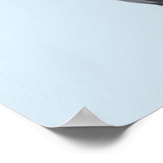 Poster du profil Alavon Dragon (Coin)