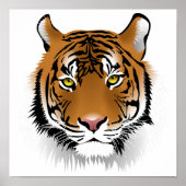 Poster du profil Tiger (Devant)