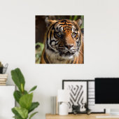 Poster du profil Tiger (Bureau à domicile)