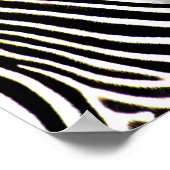 Poster du profil Zebra (Coin)