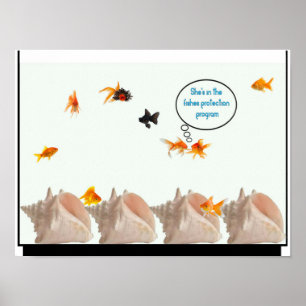 Poster du Programme de protection des poissons