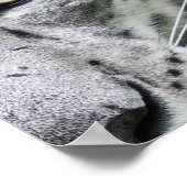 Poster du projet Avalon (sombre) (Coin)