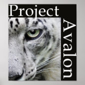 Poster du projet Avalon (sombre) (Devant)