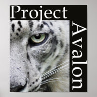 Poster du projet Avalon (sombre)