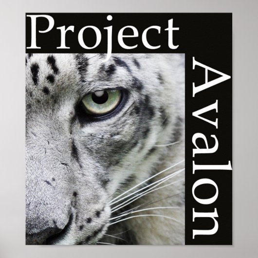 Poster du projet Avalon (sombre) (Devant)