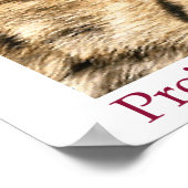 Poster du projet Camelot (Coin)