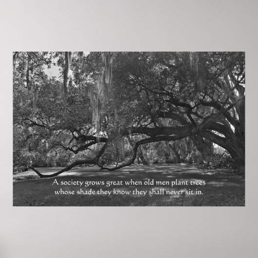 Poster du proverbe en direct Oak Trees Imprimer (Devant)