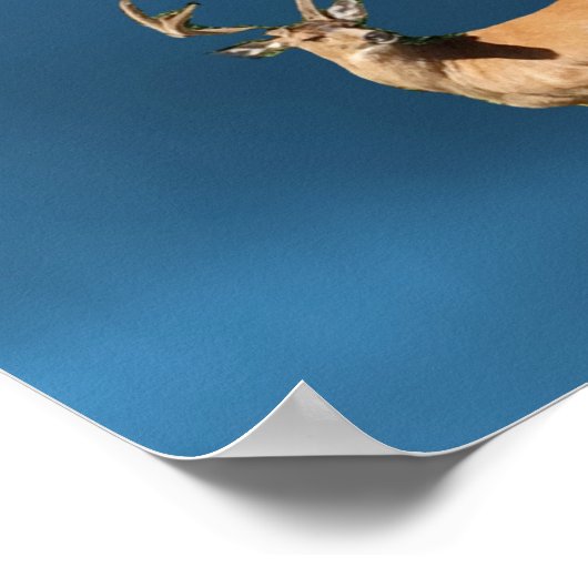 Poster du psaume d'eau sous les pantalons de cerfs (Coin)