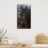 Poster du Quarter Horse (Cuisine)