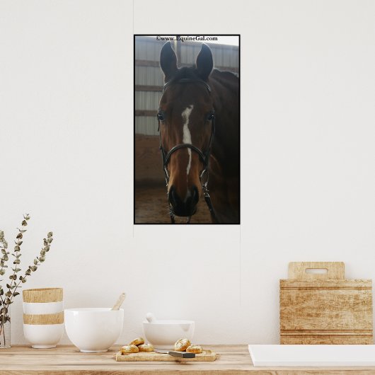 Poster du Quarter Horse (Cuisine)