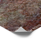 Poster du Quartz de grès "Prime Rib Rock" (Coin)