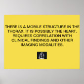 Poster du rapport Echo Cardiac (Devant)