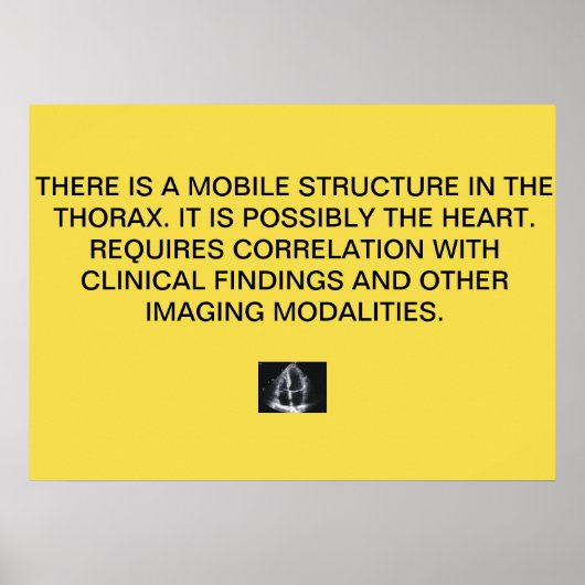 Poster du rapport Echo Cardiac (Devant)