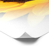 Poster du rêve de tournesol (Coin)