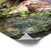 Poster du Robin Européen sur le blog (Coin)