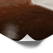 Poster du roi Charles Cavalier (Coin)