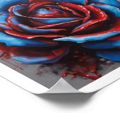 Poster du Rose Blue Blood Moon (Coin)