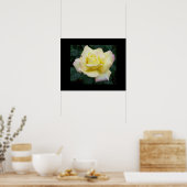 Poster du Rose de la paix (Cuisine)