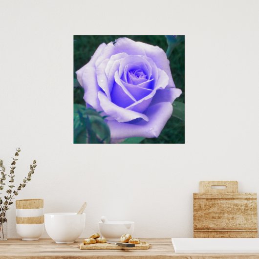 Poster du Rose de lavande (Cuisine)