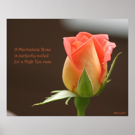 Poster du Rose de Marmalade : ROSE et PROSE 20x16 (Devant)