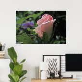 Poster du Rose de rêve de la mariée Bud (Bureau à domicile)