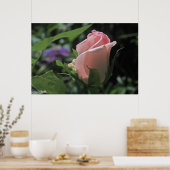 Poster du Rose de rêve de la mariée Bud (Cuisine)