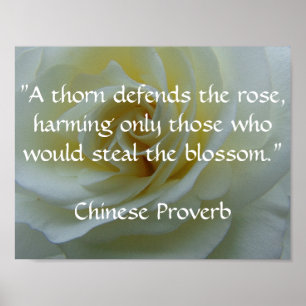 Poster du Rose du proverbe chinois
