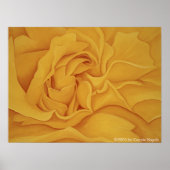 Poster du rose n° 15 (Devant)