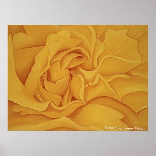 Poster du rose n° 15 (Devant)