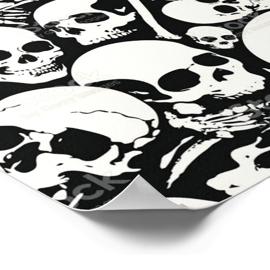 Poster du sac d'os (Coin)