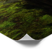 Poster du sentier de Latourell Falls (Coin)