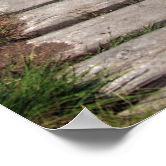 Poster du sentier de randonnée (Coin)