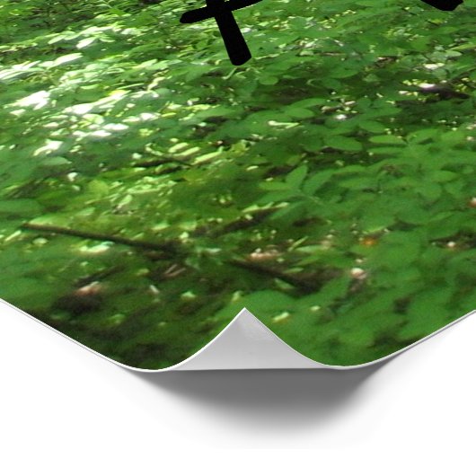 Poster du sentier des Appalaches (Coin)