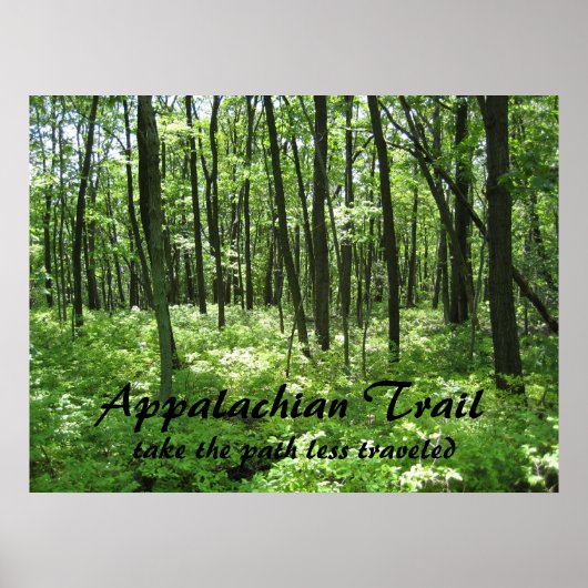 Poster du sentier des Appalaches (Devant)