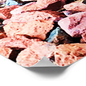 Poster du serpent du Rat oriental (Coin)