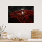 Poster du singe corail et de la lune (Cuisine)