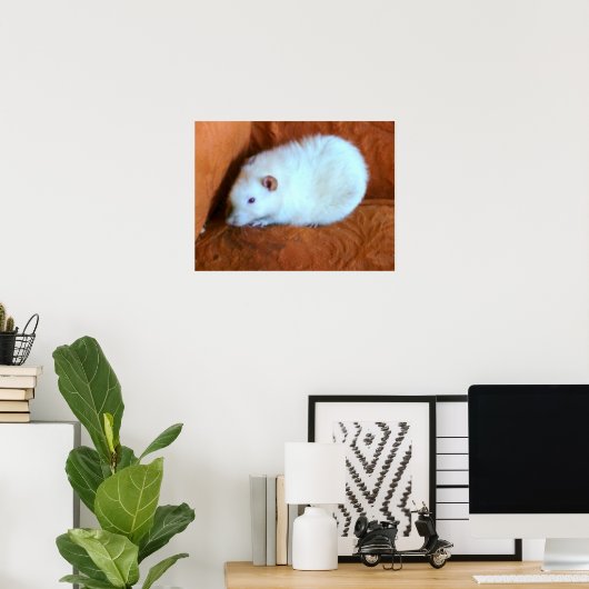 Poster du snowball Rat (Bureau à domicile)