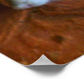 Poster du snowball Rat (Coin)