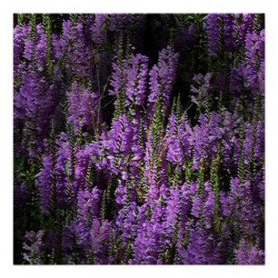 Poster Du soir au matin...