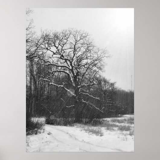 Poster du Solstice d'hiver (Devant)