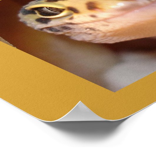 Poster du sourire (Coin)