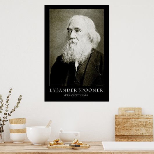 Poster du Spooner Lysander (Cuisine)