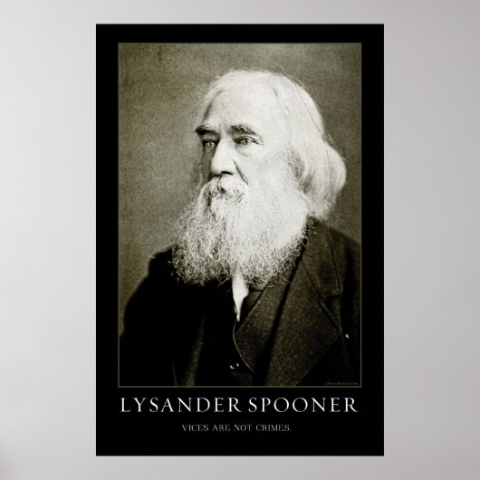 Poster du Spooner Lysander (Devant)