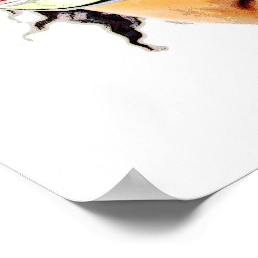 Poster du super Cool Zoom ! (Coin)