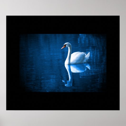 Poster du Swan (Devant)