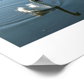 Poster du Swan (Coin)