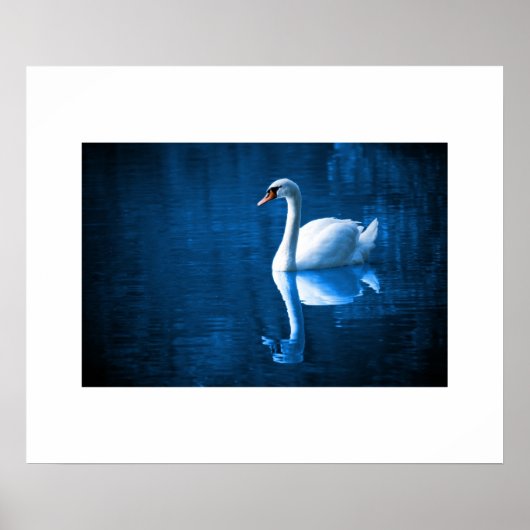 Poster du Swan (Devant)